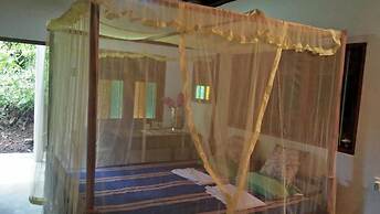 Jungle house