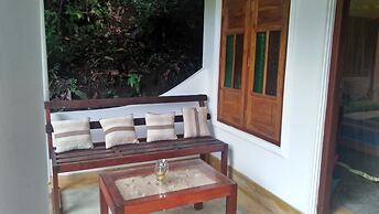 Jungle house
