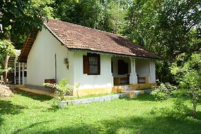 Jungle house