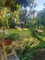 Limon Hotel