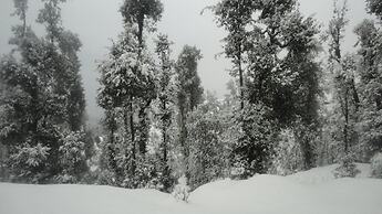 Trinetra Orchards
