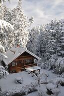 The Chalets Naldehra