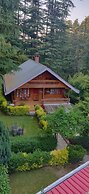 The Chalets Naldehra