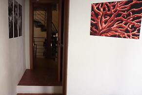 Il Lupo Rosso
