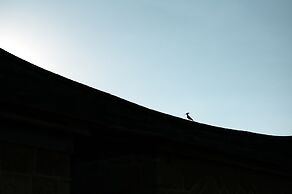 Live Guest House