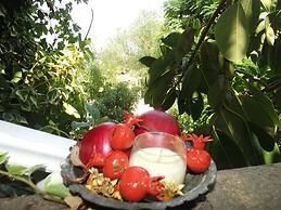 Narli Pansiyon