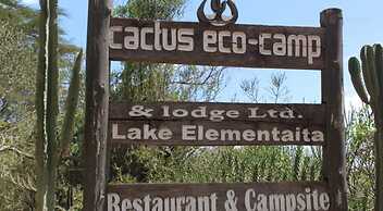 Cactus Eco Camp and Lodge
