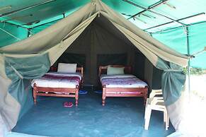 Cactus Eco Camp and Lodge
