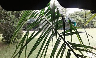 Cactus Eco Camp and Lodge