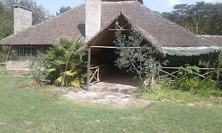 Cactus Eco Camp and Lodge