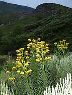 Chalet Hotel Les Marmottes