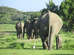Kottamba Yala Stay & Safari