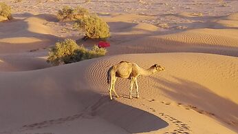 Kasbah Aladdin