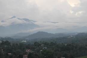 Mount view 11