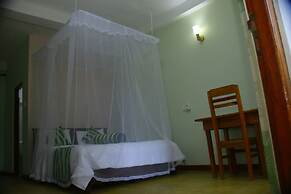 Dinaro Guest