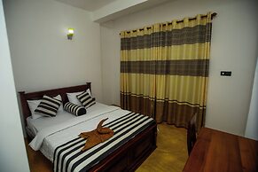 Dinaro Guest