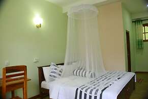 Dinaro Guest
