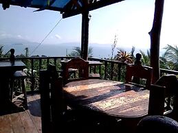 Windy Willow's