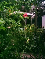 Caribbean Coral Inn Tela
