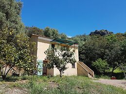 A Casa Di L'Alivu