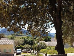 A Casa Di L'Alivu