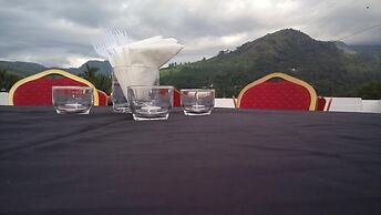 mount view hotel