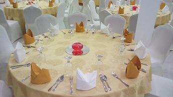 mount view hotel