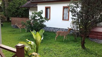 Mango Garden Resort
