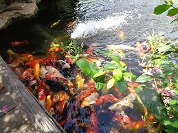 Mango Garden Resort