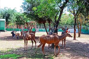 Mango Garden Resort