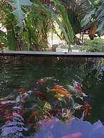 Ranong River View