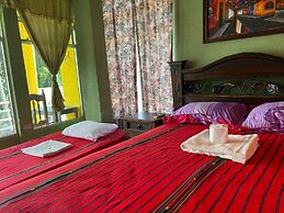 Hotel Pinocchio