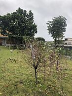 512 Huts Homestay
