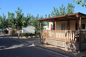 Camping Fayón Fishing