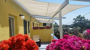 Belvedere