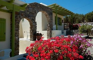 Asante Paros