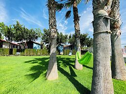 Camping Lo Monte