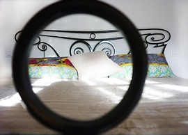 Aux Bords Du Temps