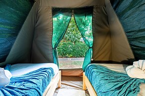 Shoestrings Backpackers & Bar