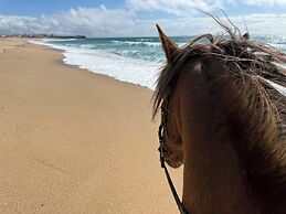 Silver Seahorse Garden Retreat