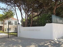 Silver Seahorse Garden Retreat