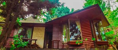 Cabañas el Dorado Pucón