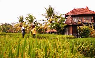 Java Village Resort