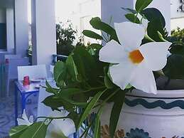 B&B Camere Borgo