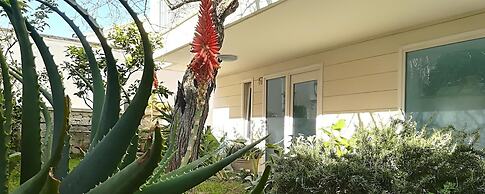 B&B Camere Borgo