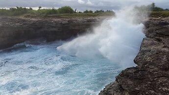 D'Coin Lembongan