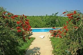 Agva Ormanevi Otel