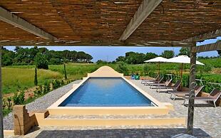 Podere L'Olmaia