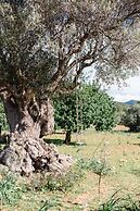 Finca Es Cabas