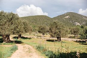 Finca Es Cabas